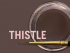MiYO Gingival Thistle Paste